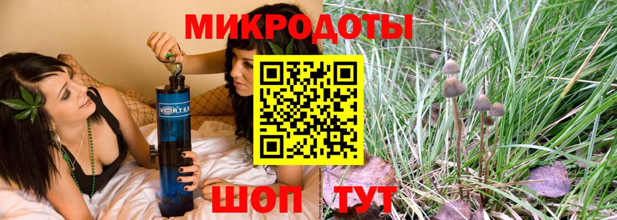 Псилоцибиновые грибы прущие грибы Кудымкар