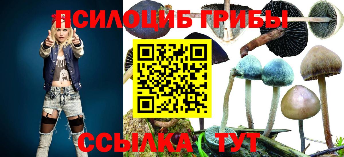 закладка  Галлюциногенные грибы Psilocybe  Вход с VPN  Кудымкар 